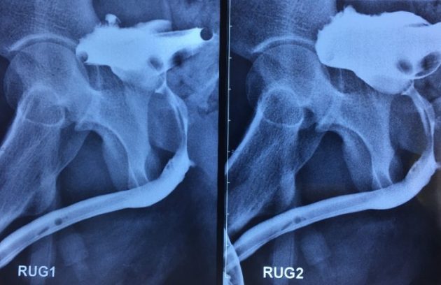 m/عکس rug چیست؟